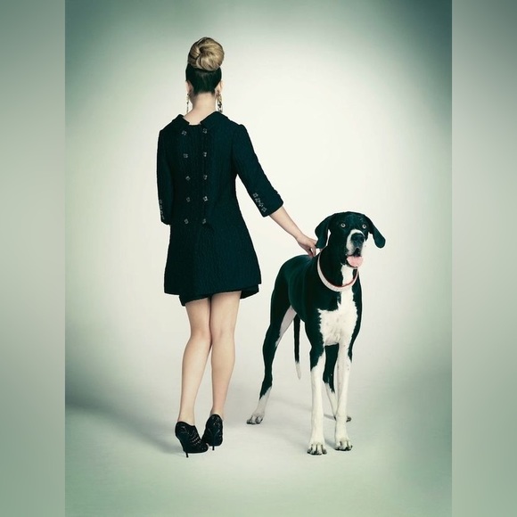 🐶WE ARE LIVE🐶 - Picture 16 of 17